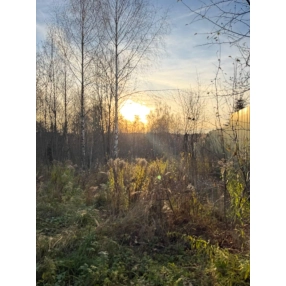 Участок у реки